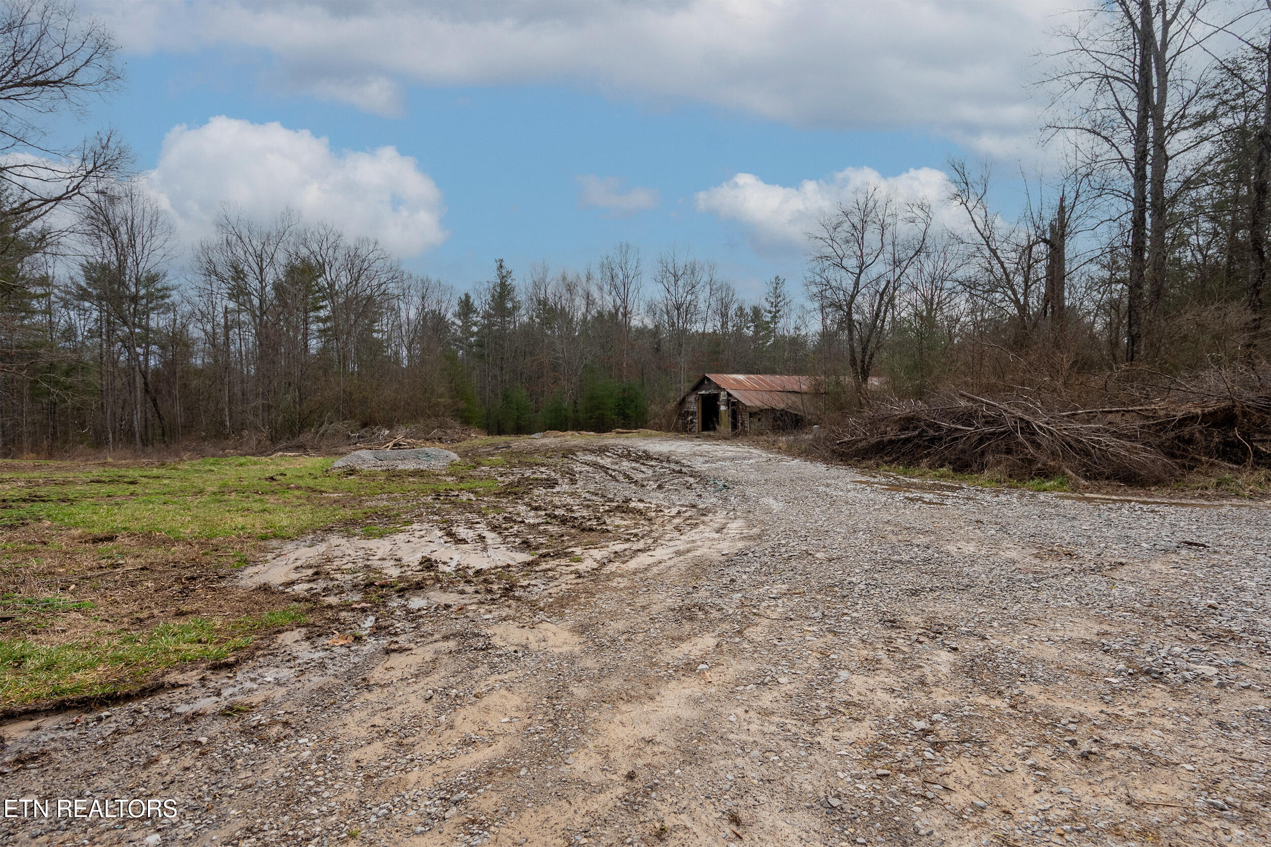 1567 Twin Bridge Road Deer Lodge, TN 37726 - Photo 25 of 26 12_1567 twin bridge 010