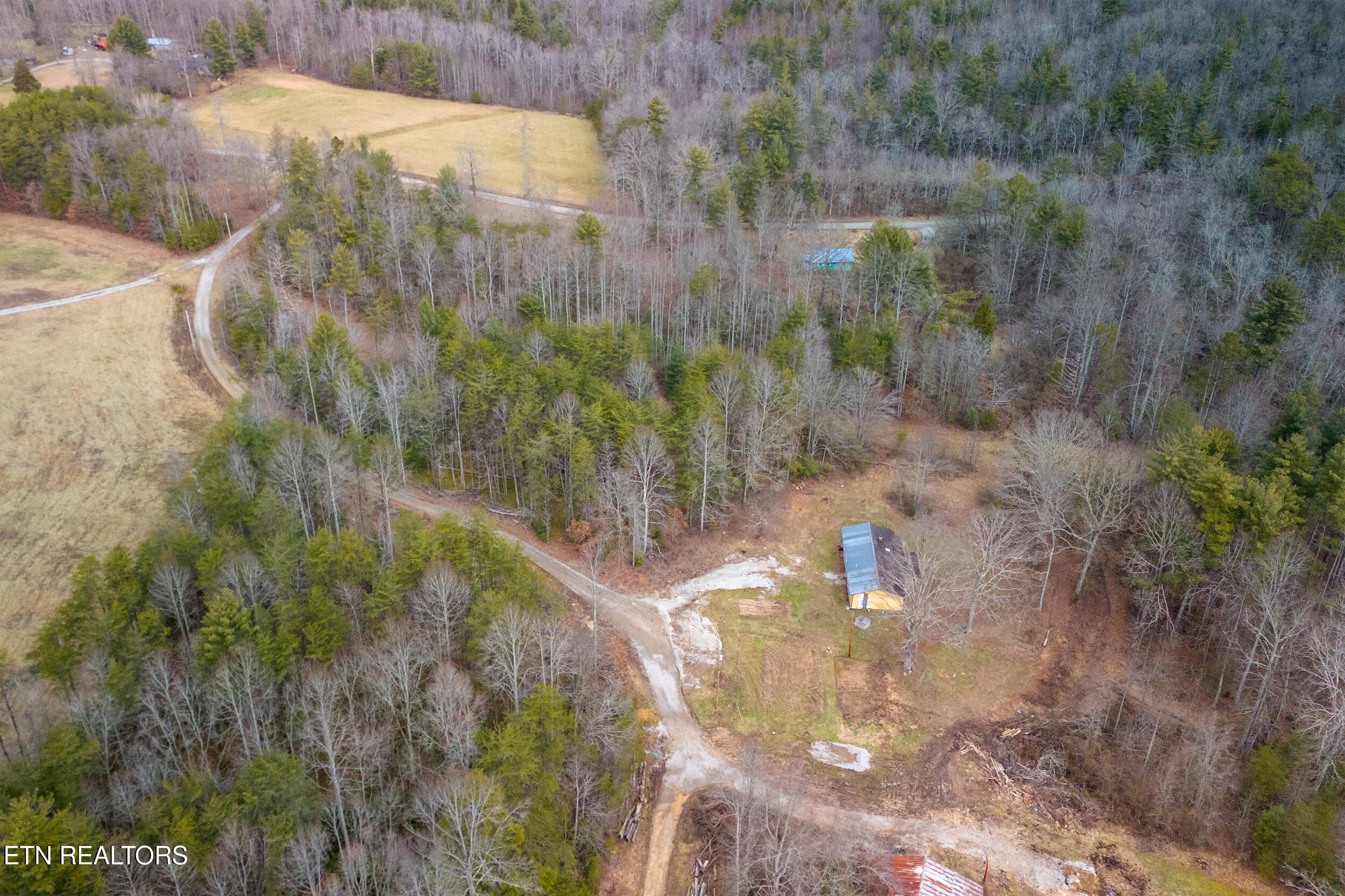 1567 Twin Bridge Road Deer Lodge, TN 37726 - Photo 8 of 26 19_1567 twin bridge dro005