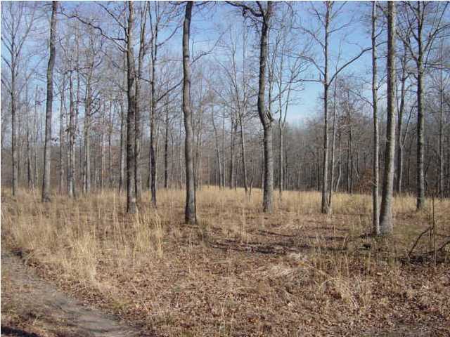 0 Laurel Ridge Dunlap, TN 37327 - Photo 3 of 4 Additional Photo