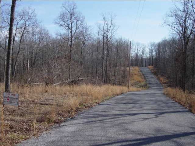 0 Laurel Ridge Dunlap, TN 37327 - Photo 4 of 4 Additional Photo