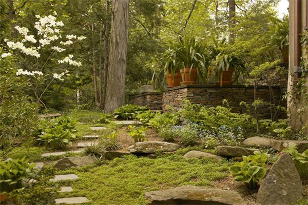 8 Lincoln Lane Cambridge, MA 02138 - Photo 11 of 13 a view of yard with green space