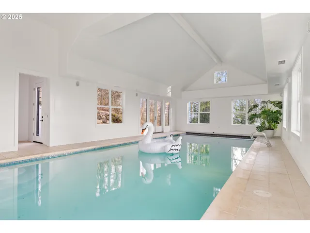a living room with furniture and potted plant