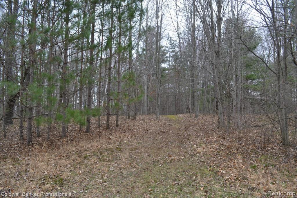 4739 Skelton Road Columbiaville, MI 48421 - Photo 9 of 36 Wildlife Galore