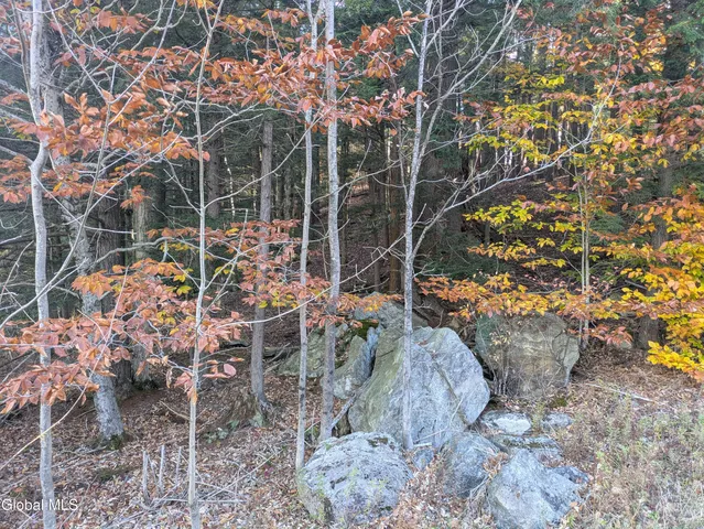 $97,000 | 443 Lake Desolation Road, Greenfield, NY 12850