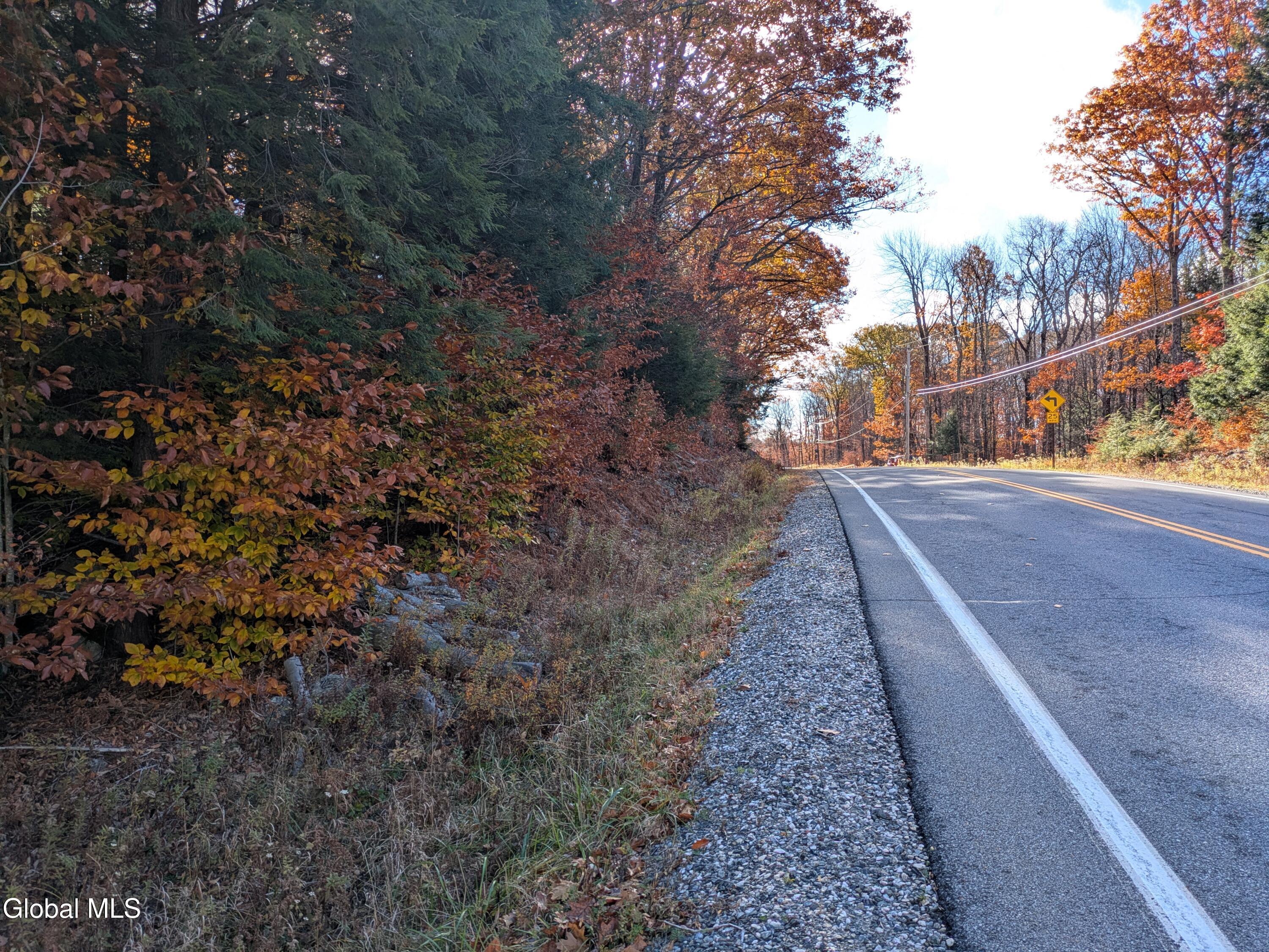 443 Lake Desolation Road Greenfield, NY 12850 - Photo 5 of 8 PXL_20251028_135602007