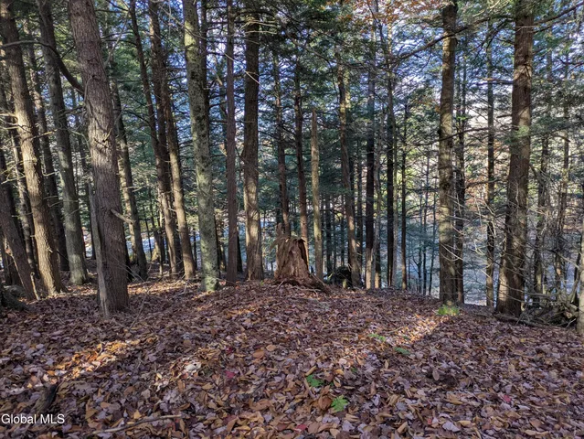 $97,000 | 443 Lake Desolation Road, Greenfield, NY 12850