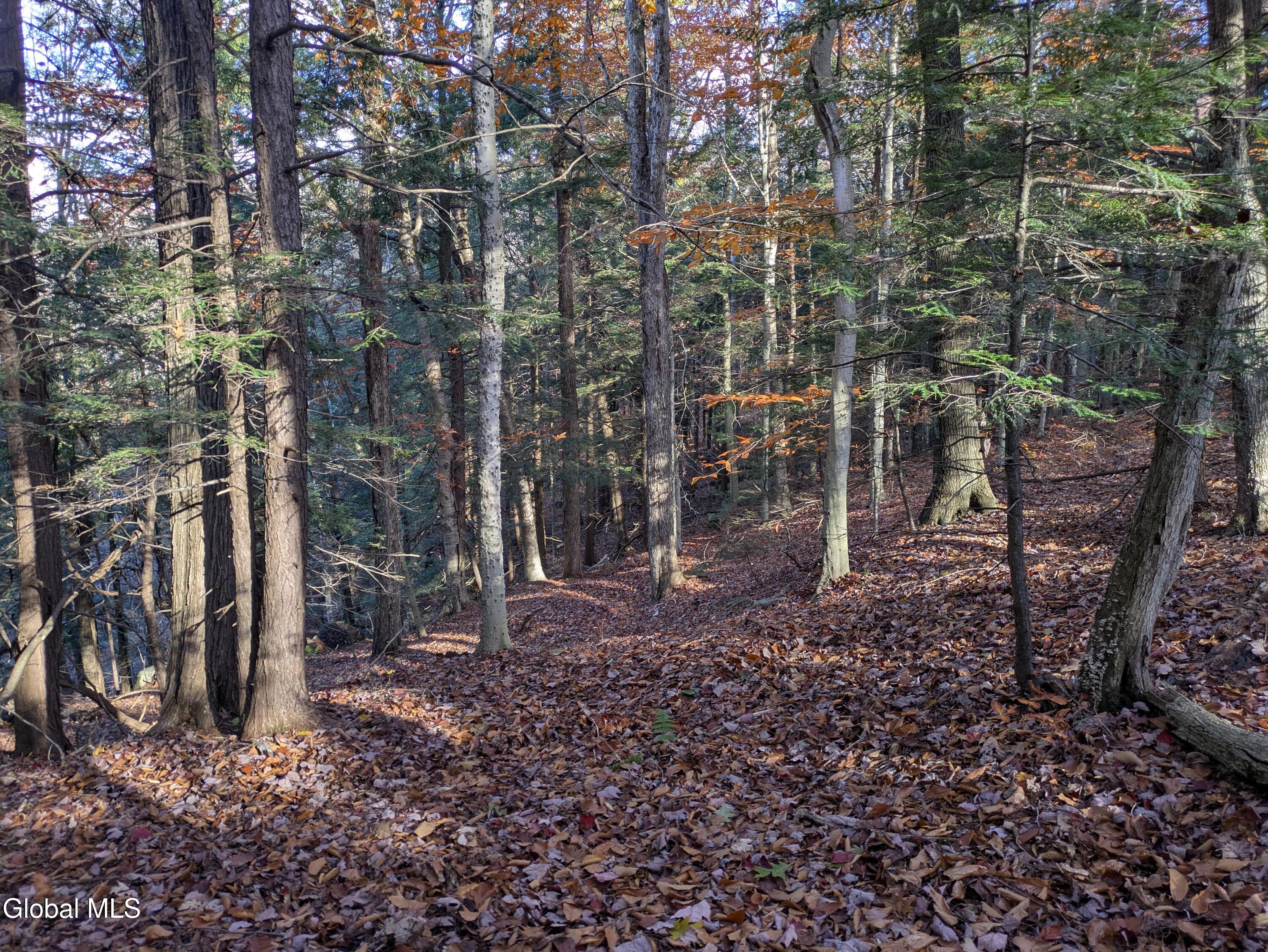 443 Lake Desolation Road Greenfield, NY 12850 - Photo 7 of 8 Looking down from ridge