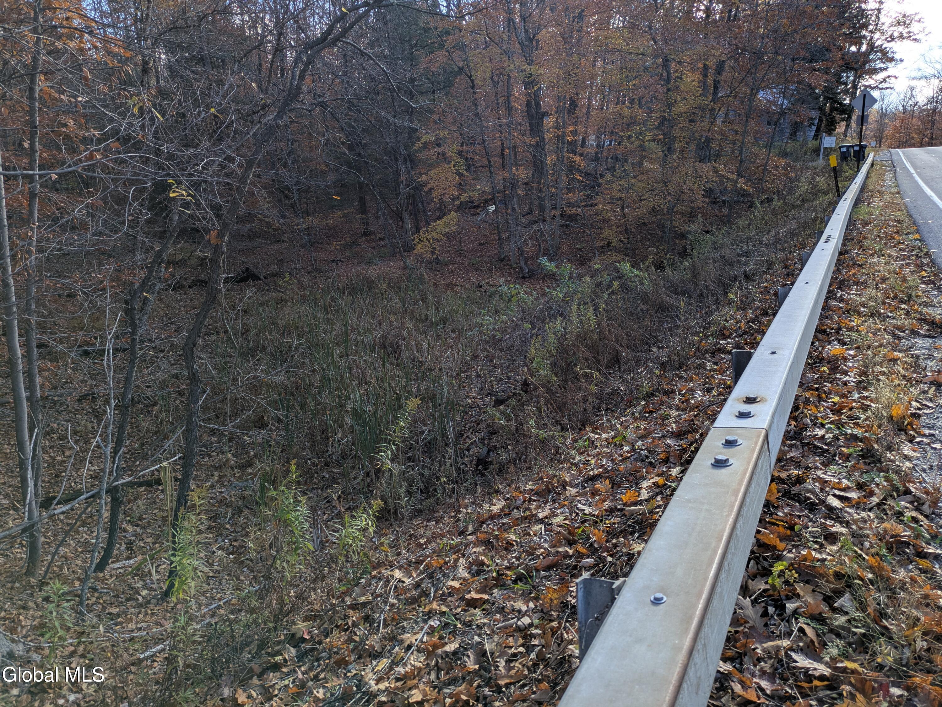 443 Lake Desolation Road Greenfield, NY 12850 - Photo 8 of 8 Low spot next other lot