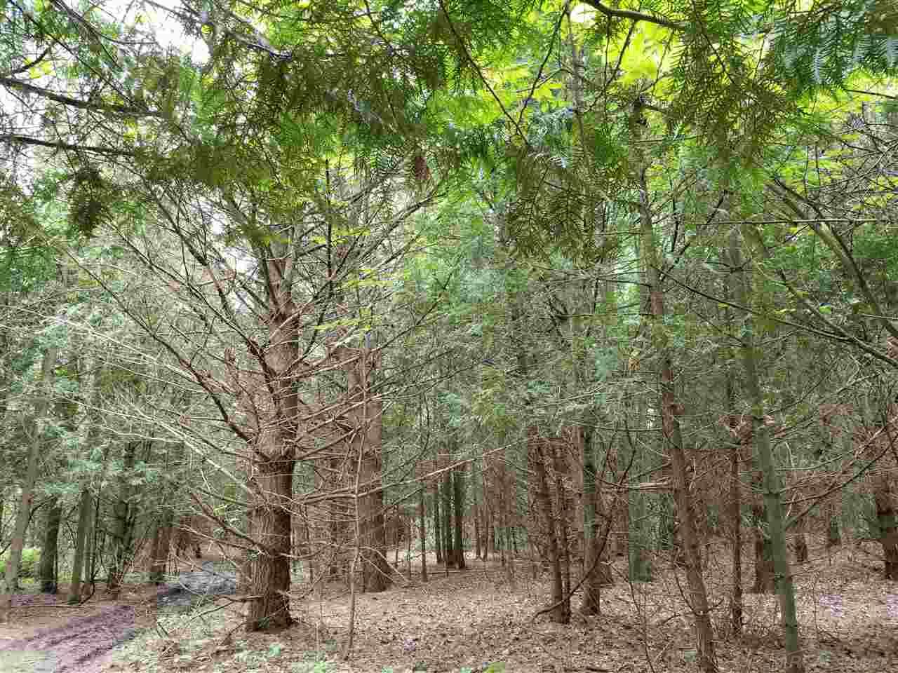 2320 South Lakeshore Road Applegate, MI 48401 - Photo 38 of 45