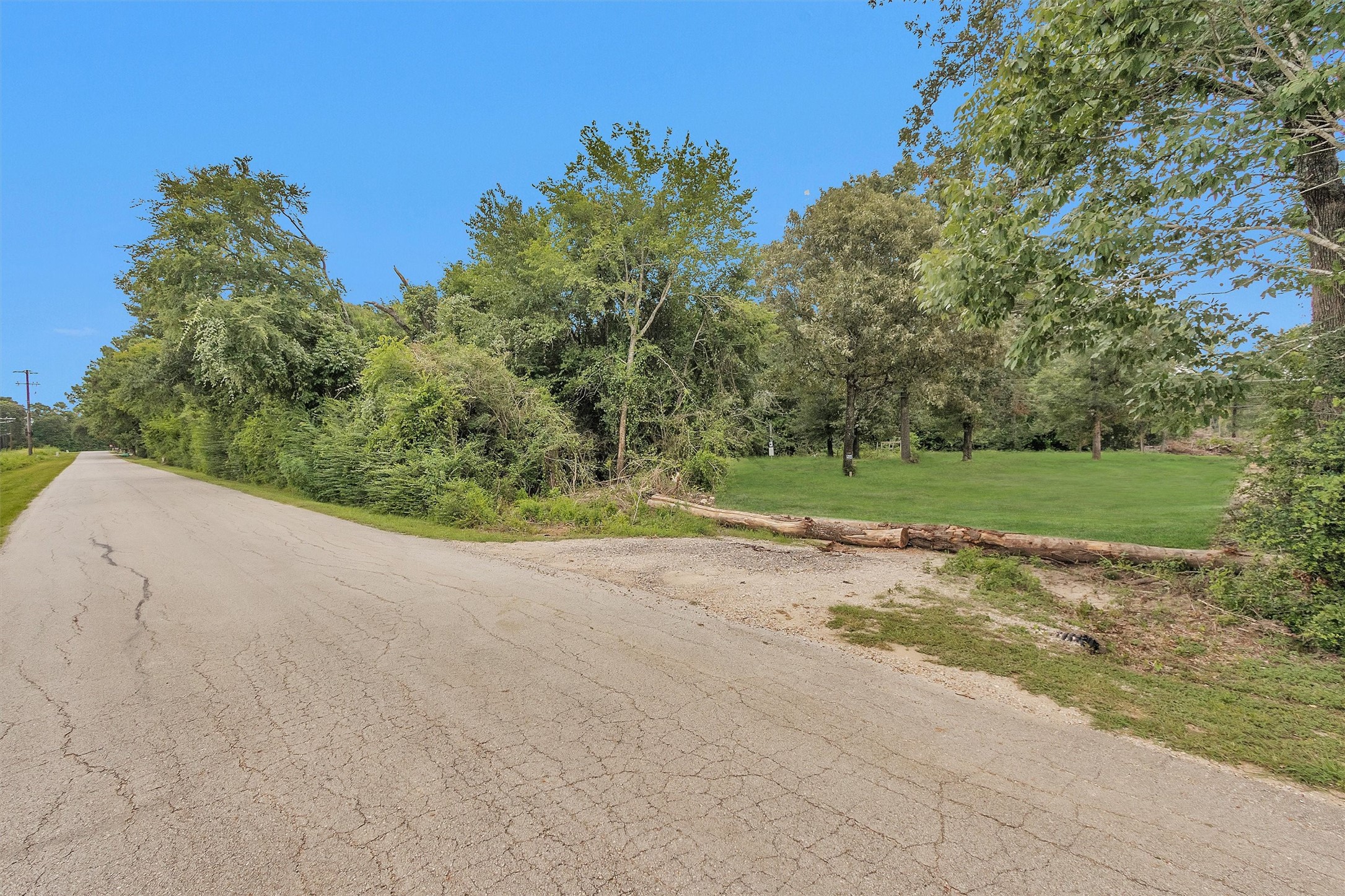 10.548-acres Womack Cemetery Road Montgomery, TX 77316 - Photo 12 of 15 a view of a field with a trees in the background