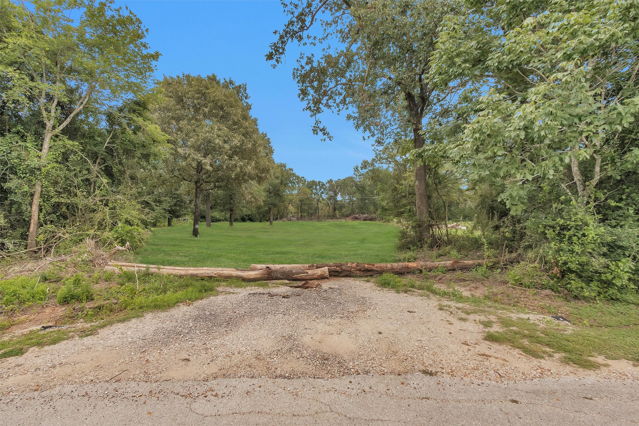 10.548-acres Womack Cemetery Road Montgomery, TX 77316 - Photo 13 of 15 a view of a field with trees in background