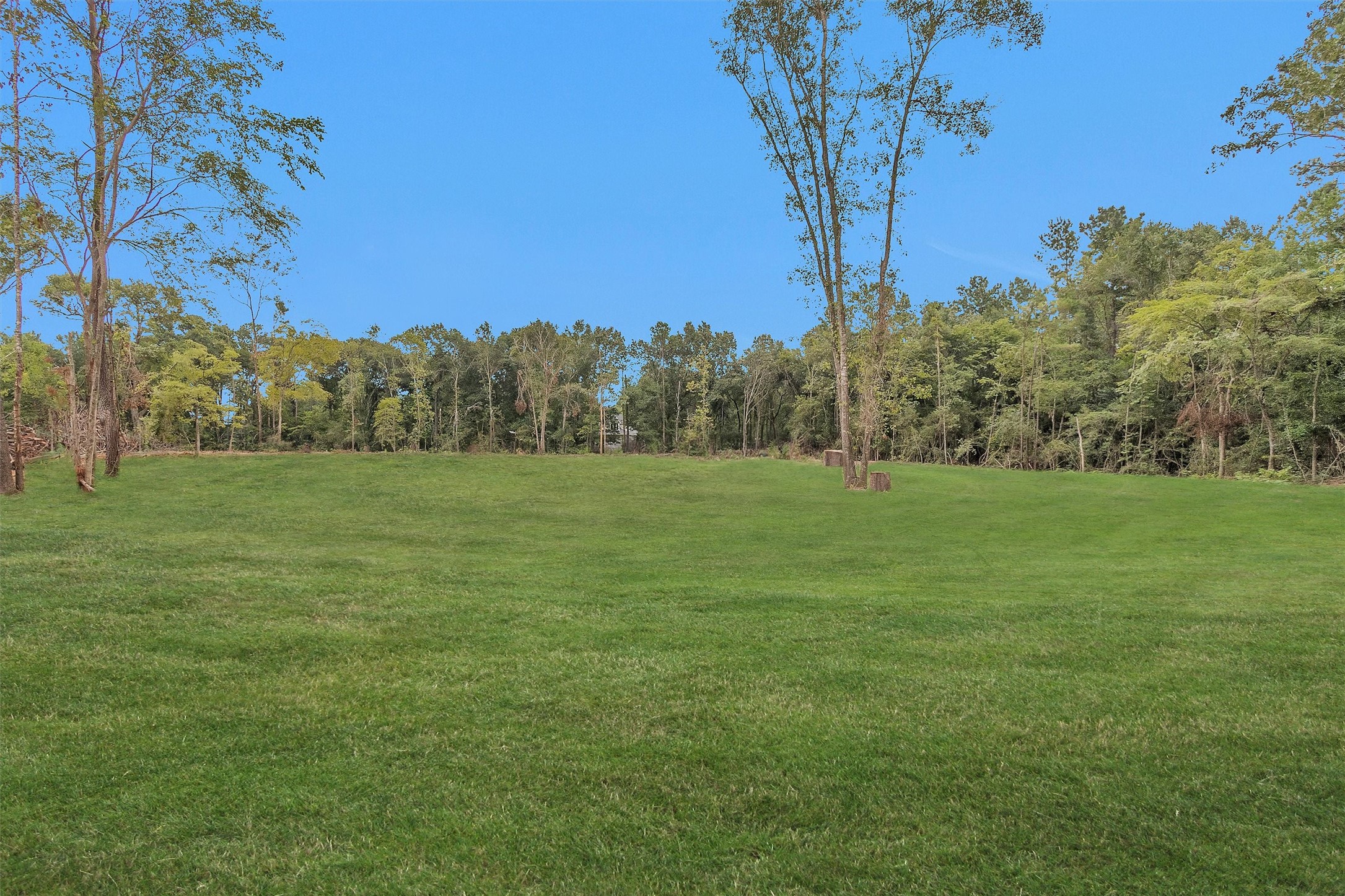 10.548-acres Womack Cemetery Road Montgomery, TX 77316 - Photo 4 of 15 a view of a field with trees in the background