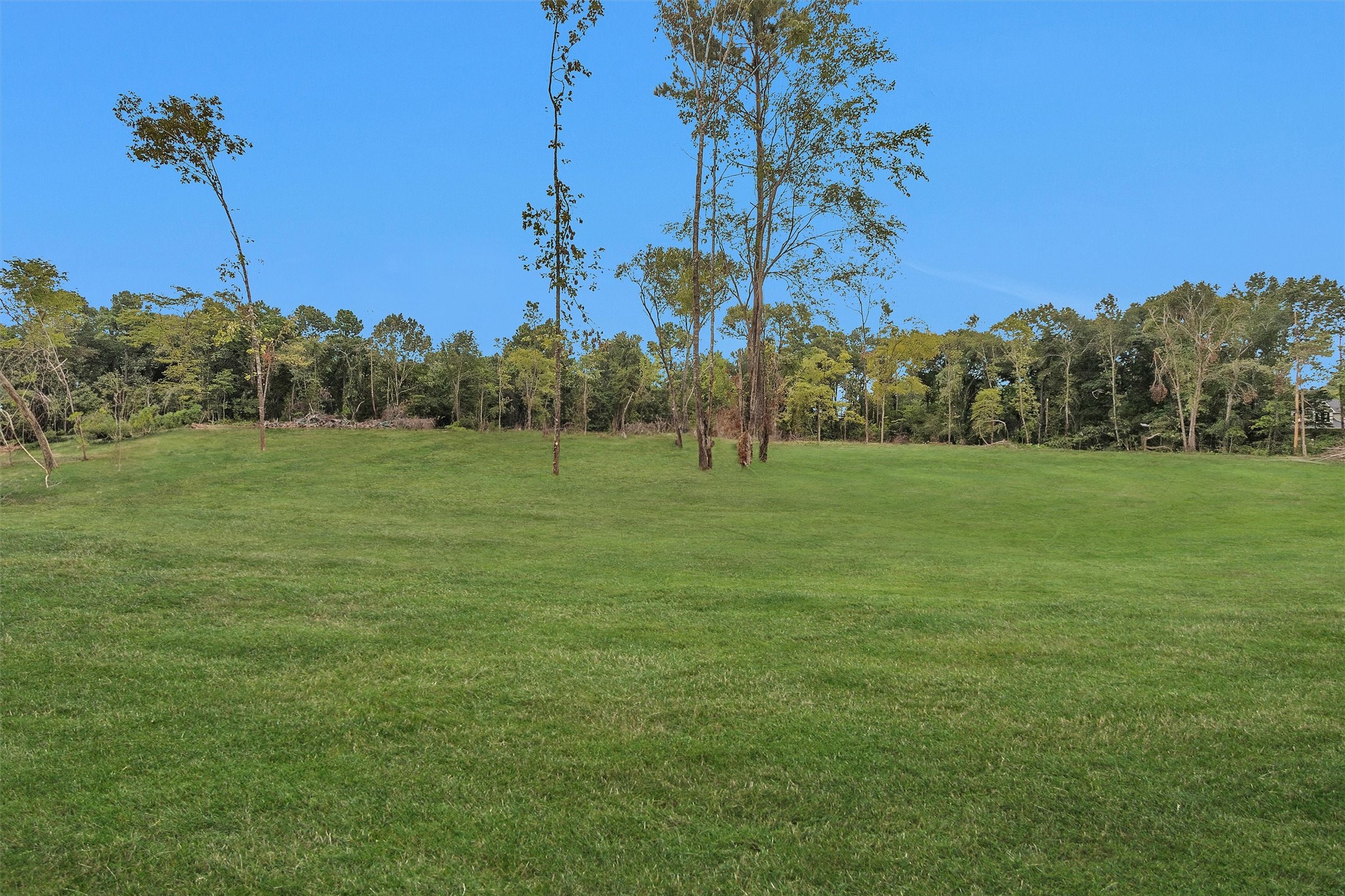 10.548-acres Womack Cemetery Road Montgomery, TX 77316 - Photo 5 of 15 a view of a golf course with a garden