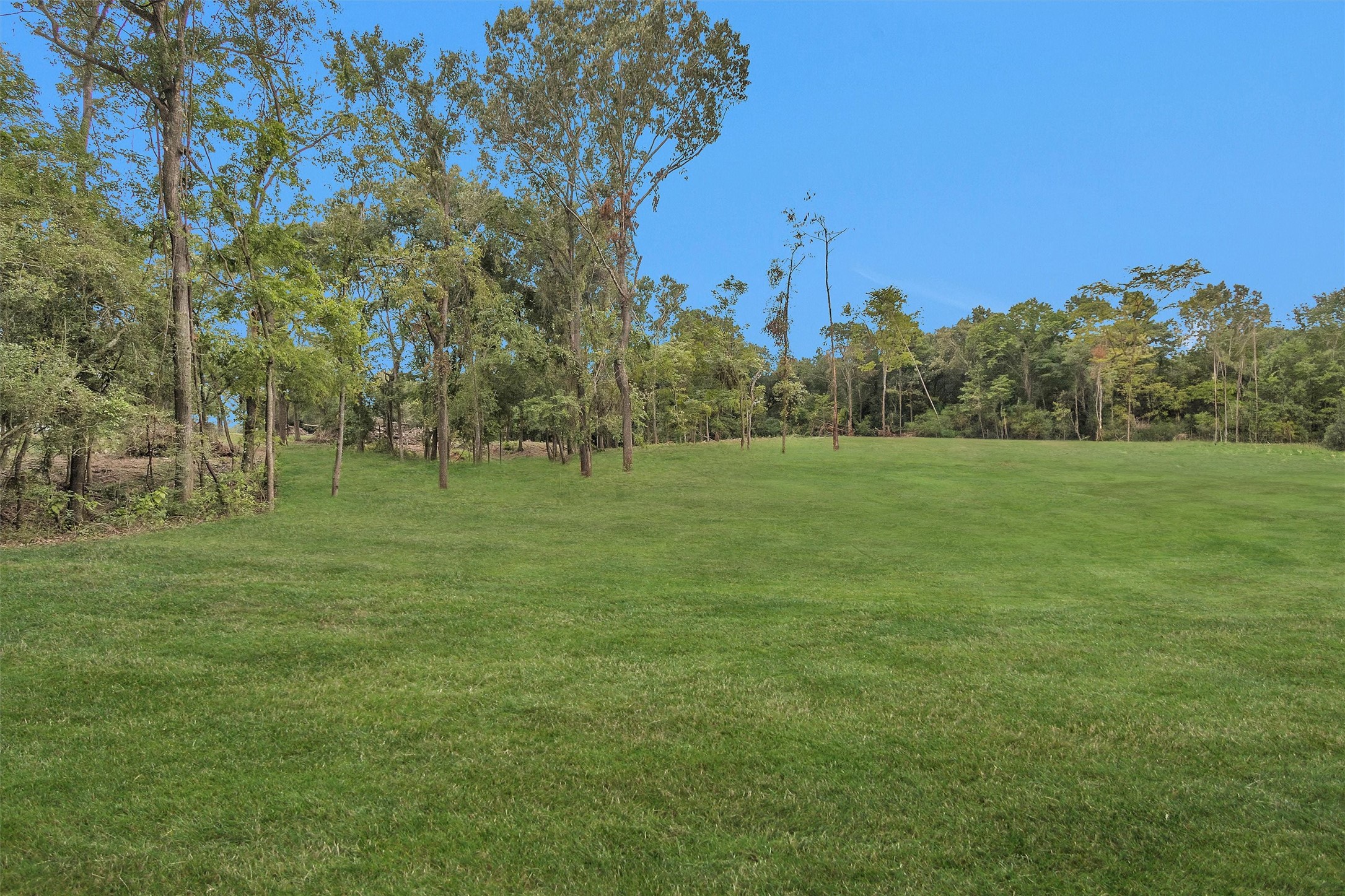 10.548-acres Womack Cemetery Road Montgomery, TX 77316 - Photo 6 of 15 a grassy field with trees in the background