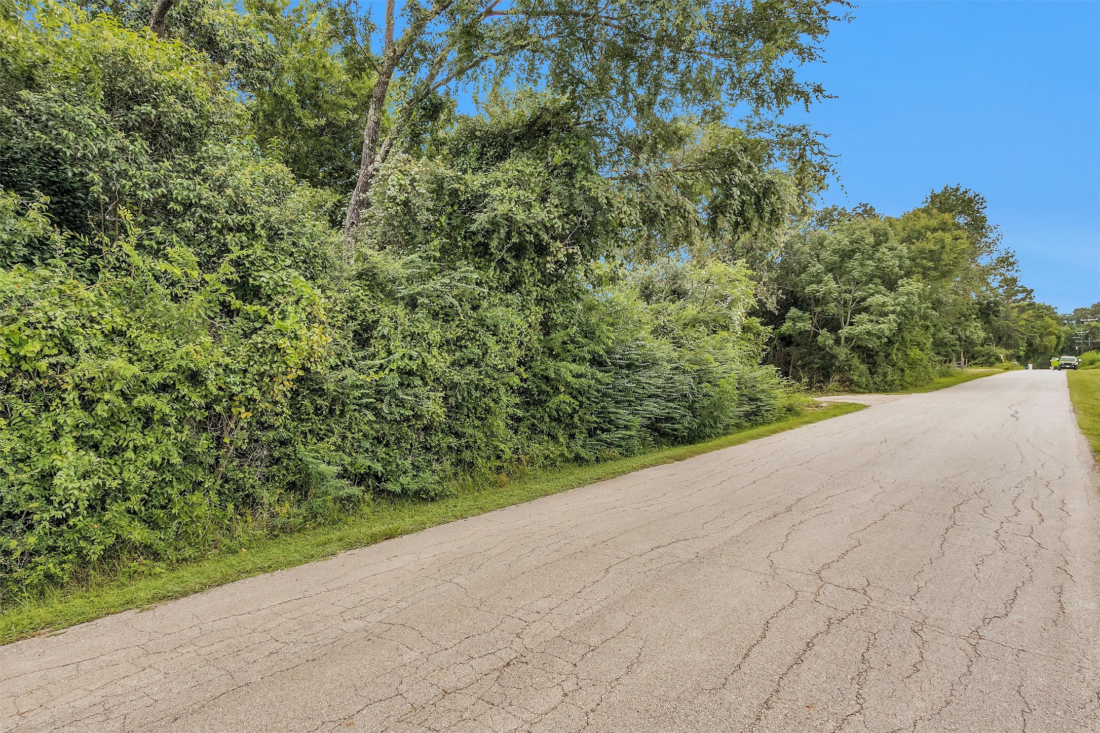 10.548-acres Womack Cemetery Road Montgomery, TX 77316 - Photo 10 of 15 a view of a garden