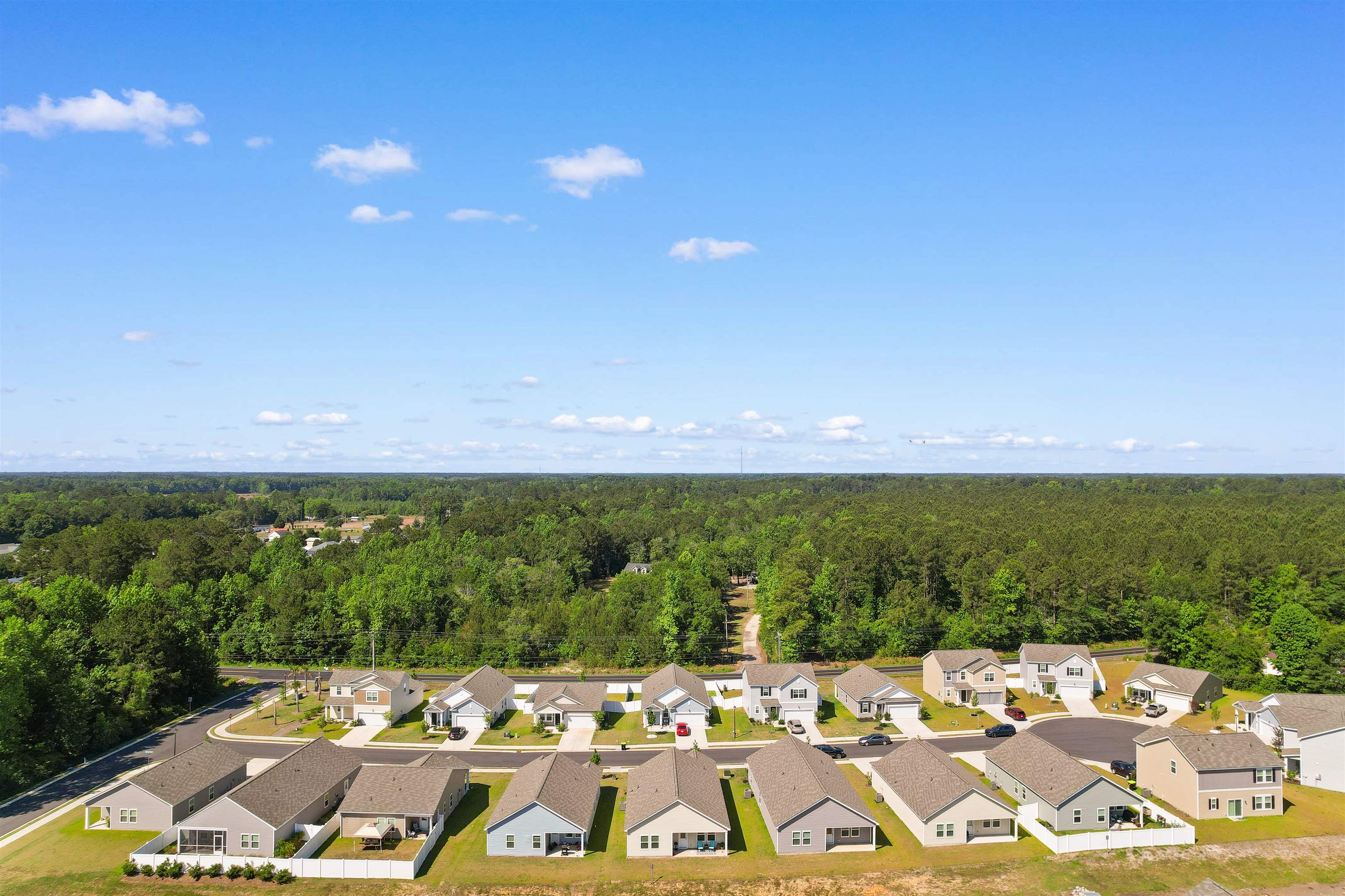 620 Muster Fld Court Conway, SC 29526 - Photo 43 of 52