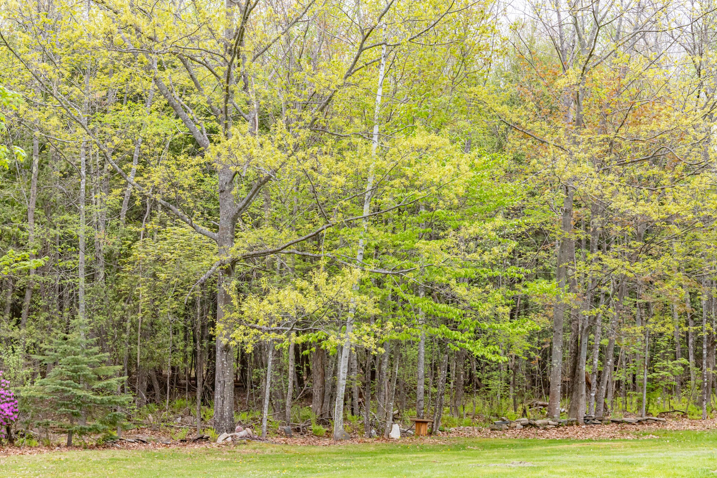 393 Mason Corner Road St. Albans, ME 04971 - Photo 76 of 86 393 Mason Corner Road Exteriors-50