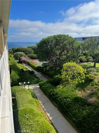 a view of a garden
