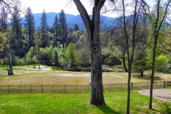 $990,278 | 46580 Vista Del Rio Drive, Oakhurst, CA 93644
