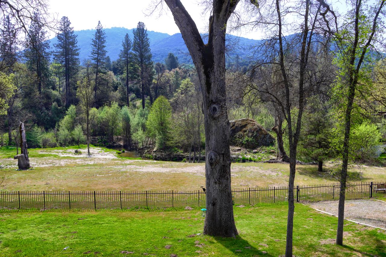 46580 Vista Del Rio Drive Oakhurst, CA 93644 - Photo 64 of 82 a view of a yard with a tree