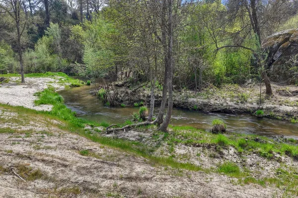 $990,278 | 46580 Vista Del Rio Drive, Oakhurst, CA 93644