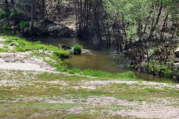 $990,278 | 46580 Vista Del Rio Drive, Oakhurst, CA 93644