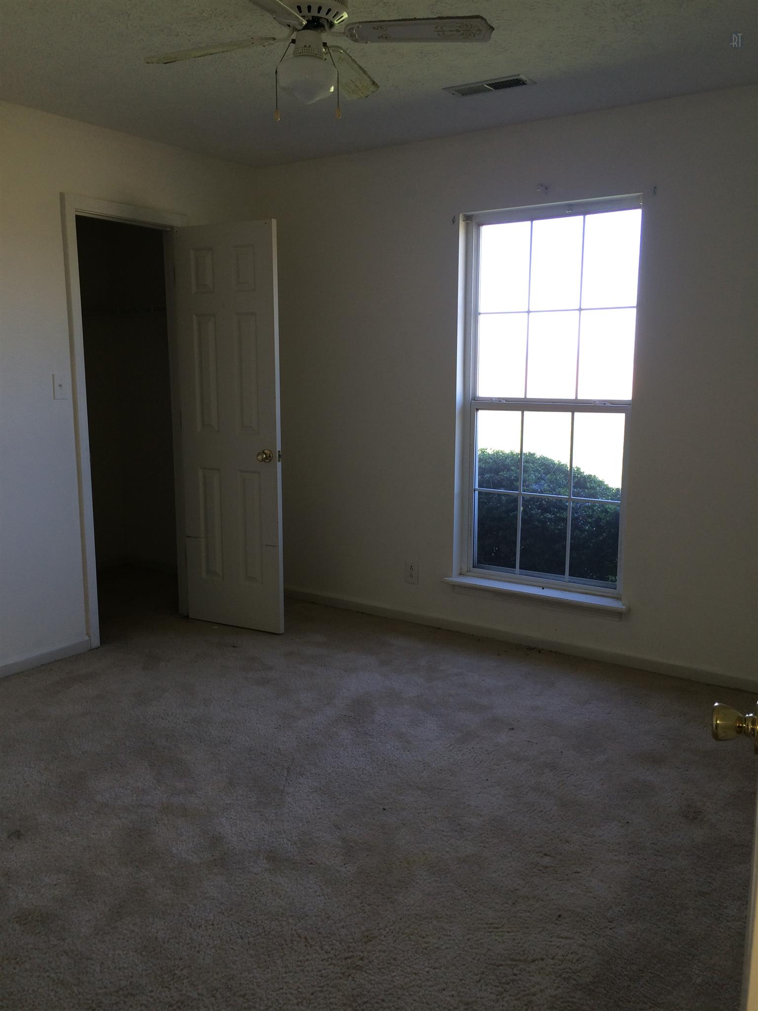955 State Line Road Oak Grove, KY 42262 - Photo 11 of 14 an empty room with a window