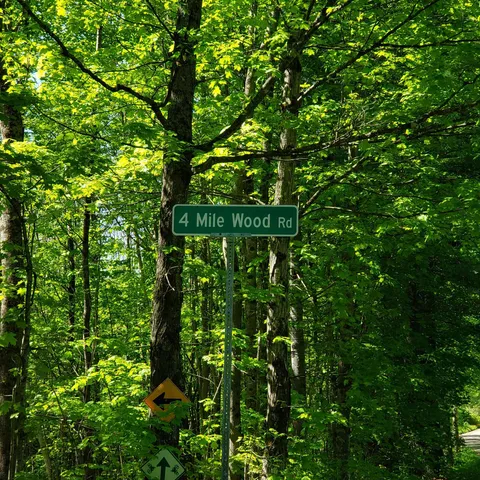 $125,460 | 0 Beaver Meadow Road, Roxbury, VT 05669