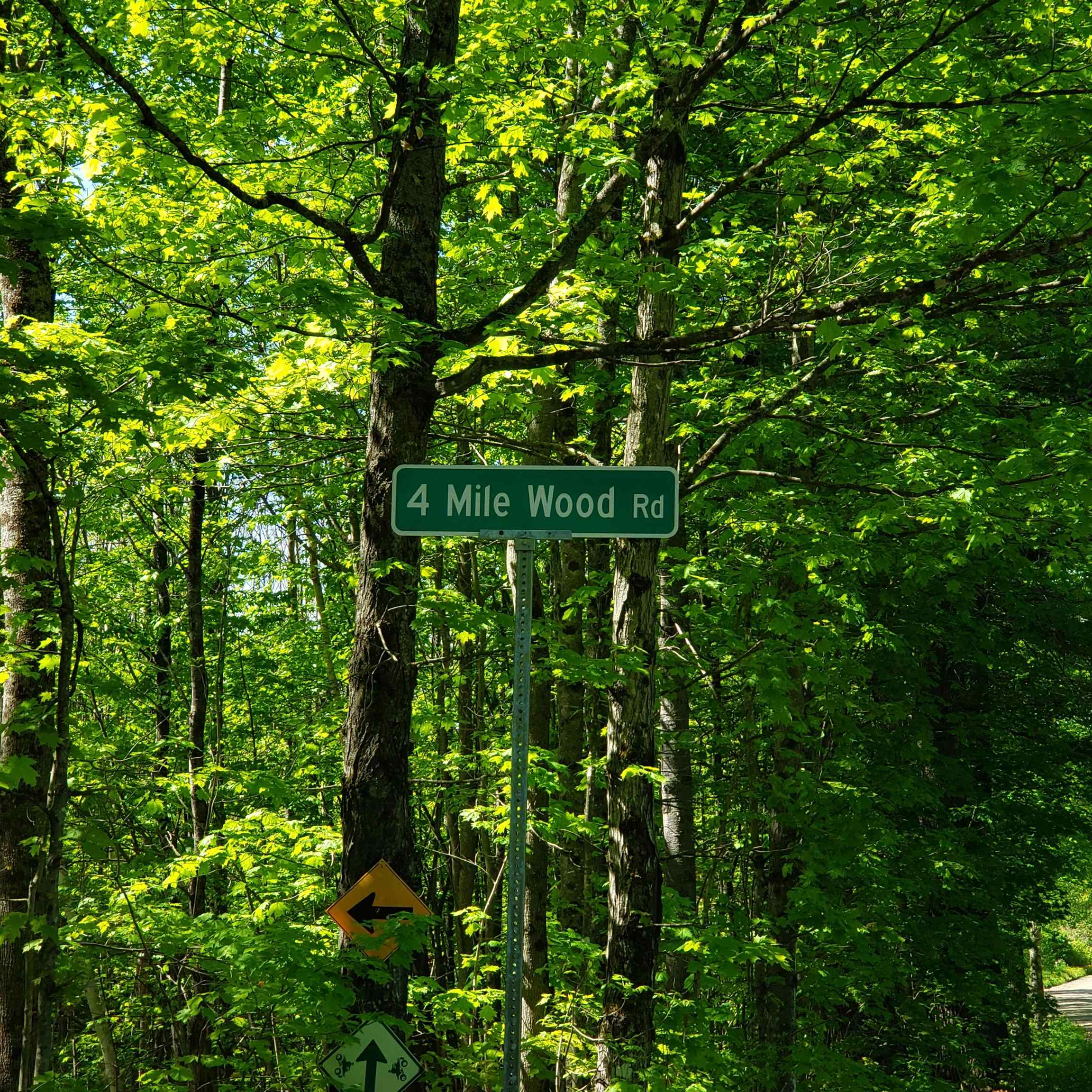 0 Beaver Meadow Road Roxbury, VT 05669 - Photo 2 of 16