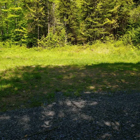 $125,460 | 0 Beaver Meadow Road, Roxbury, VT 05669