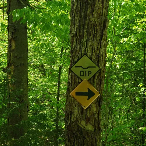 $125,460 | 0 Beaver Meadow Road, Roxbury, VT 05669