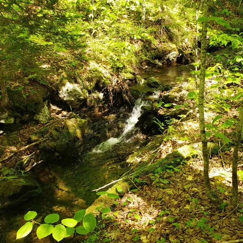 $125,460 | 0 Beaver Meadow Road, Roxbury, VT 05669