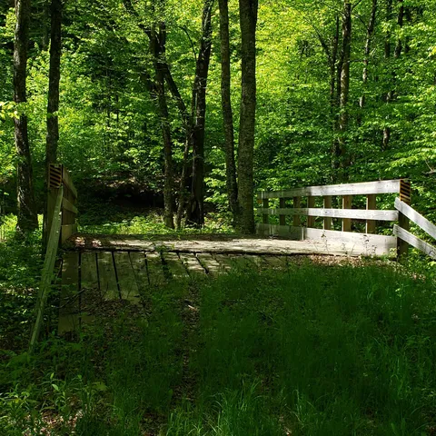 $125,460 | 0 Beaver Meadow Road, Roxbury, VT 05669