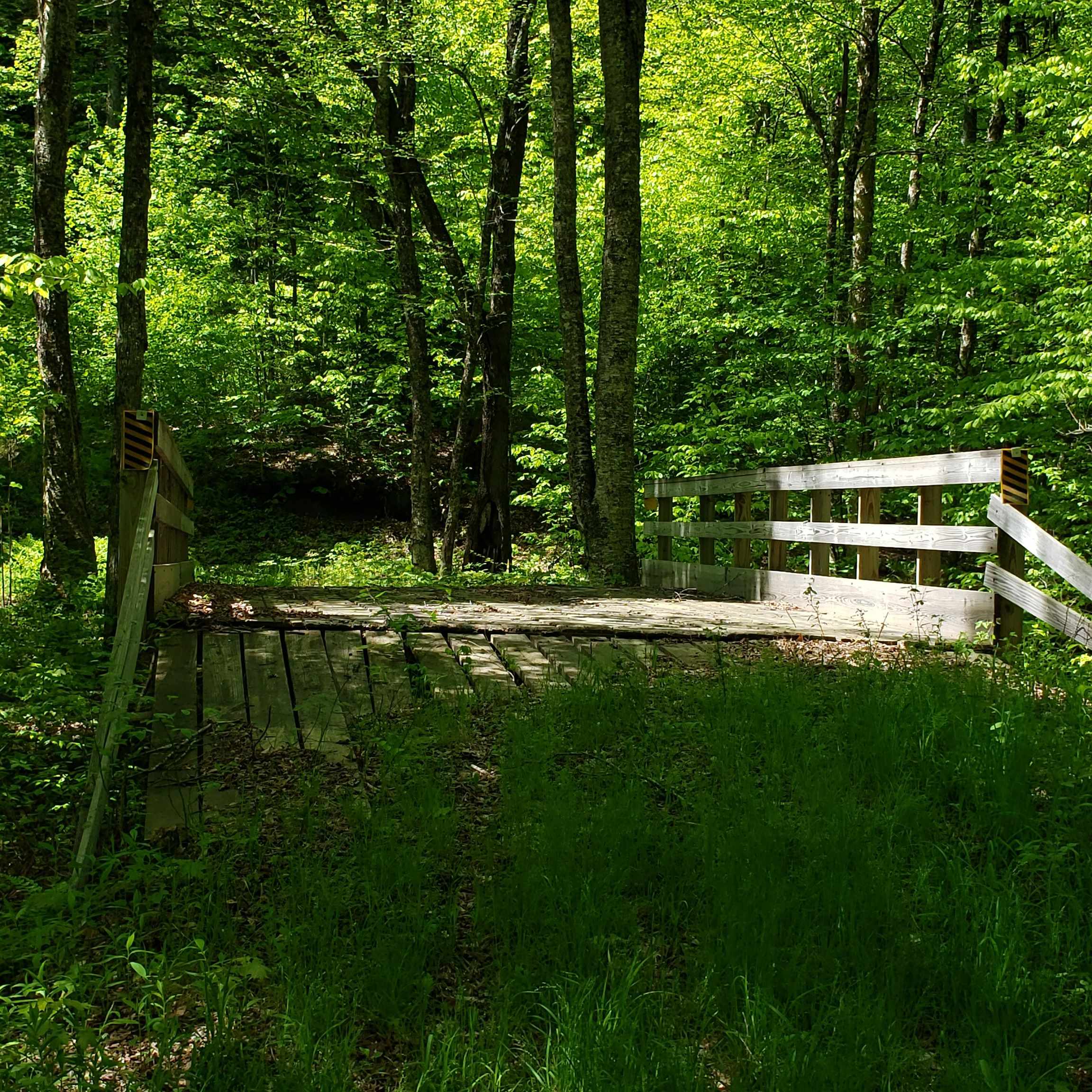 0 Beaver Meadow Road Roxbury, VT 05669 - Photo 8 of 16