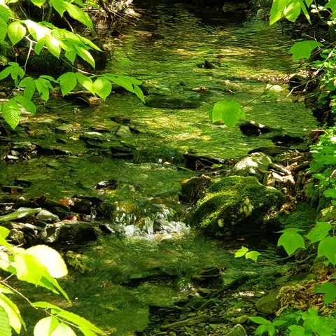 $125,460 | 0 Beaver Meadow Road, Roxbury, VT 05669