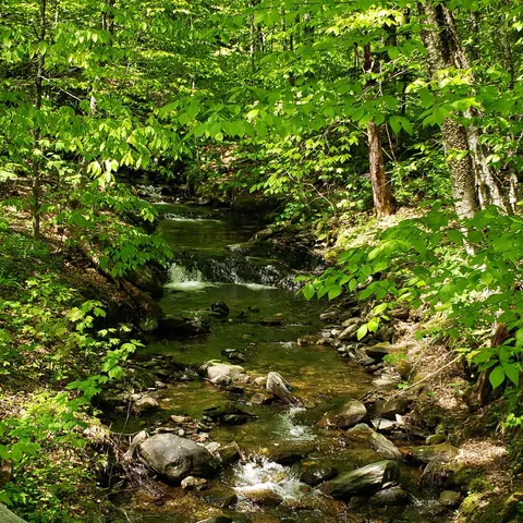 $125,460 | 0 Beaver Meadow Road, Roxbury, VT 05669