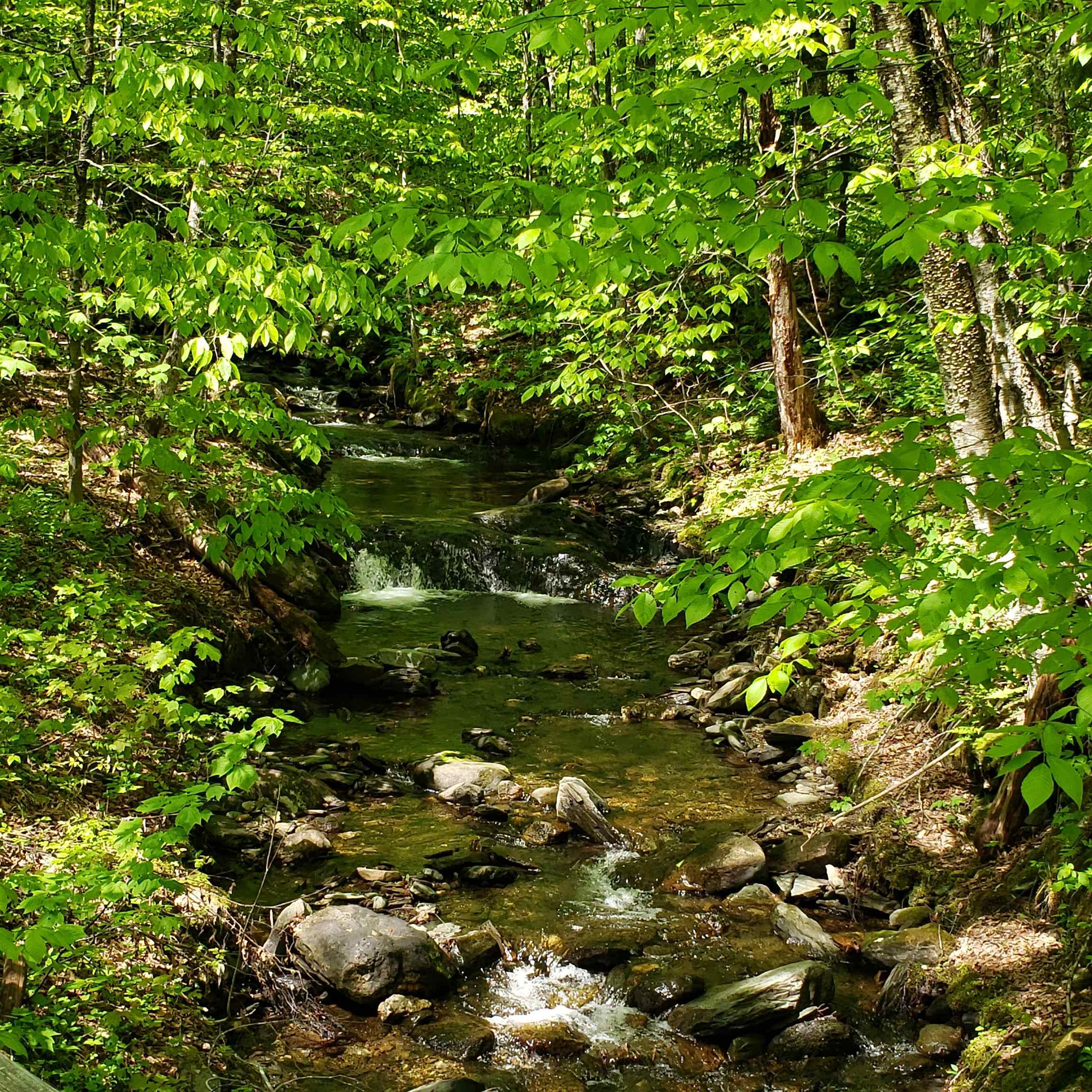 0 Beaver Meadow Road Roxbury, VT 05669 - Photo 10 of 16