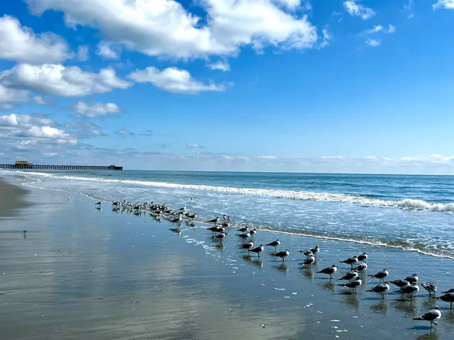 $177,700 | 9500 Shore Drive, Unit 1604, Myrtle Beach, SC 29572