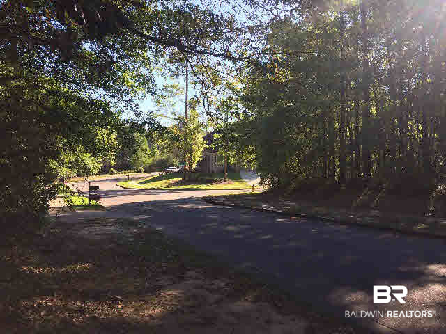 0 West Springhill Woods Drive West Mobile, AL 36608 - Photo 6 of 6