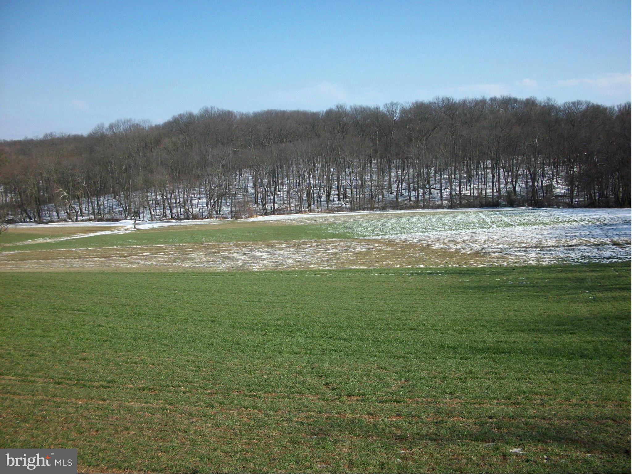 4912 Pleasant Grove Road Reisterstown, MD 21136 - Photo 7 of 26 VIEW WITH SNOW