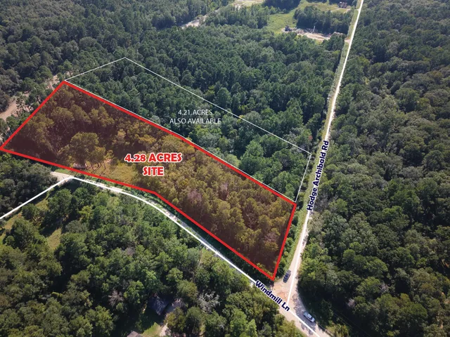 a view of a tree in a park