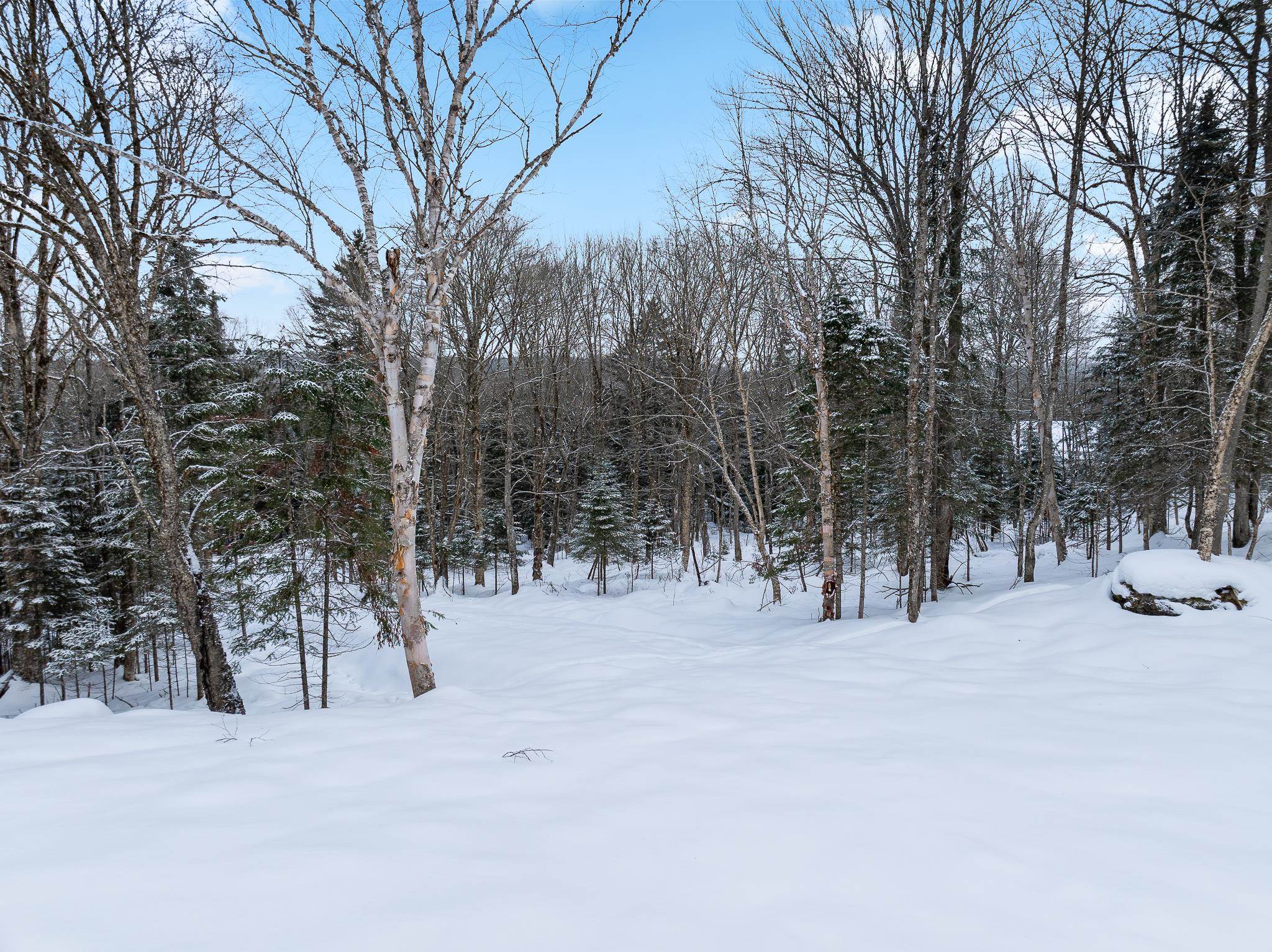 25 Spooner Road Pittsburg, NH 03592 - Photo 17 of 34