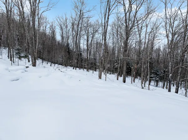 $231,500 | 25 Spooner Road, Pittsburg, NH 03592