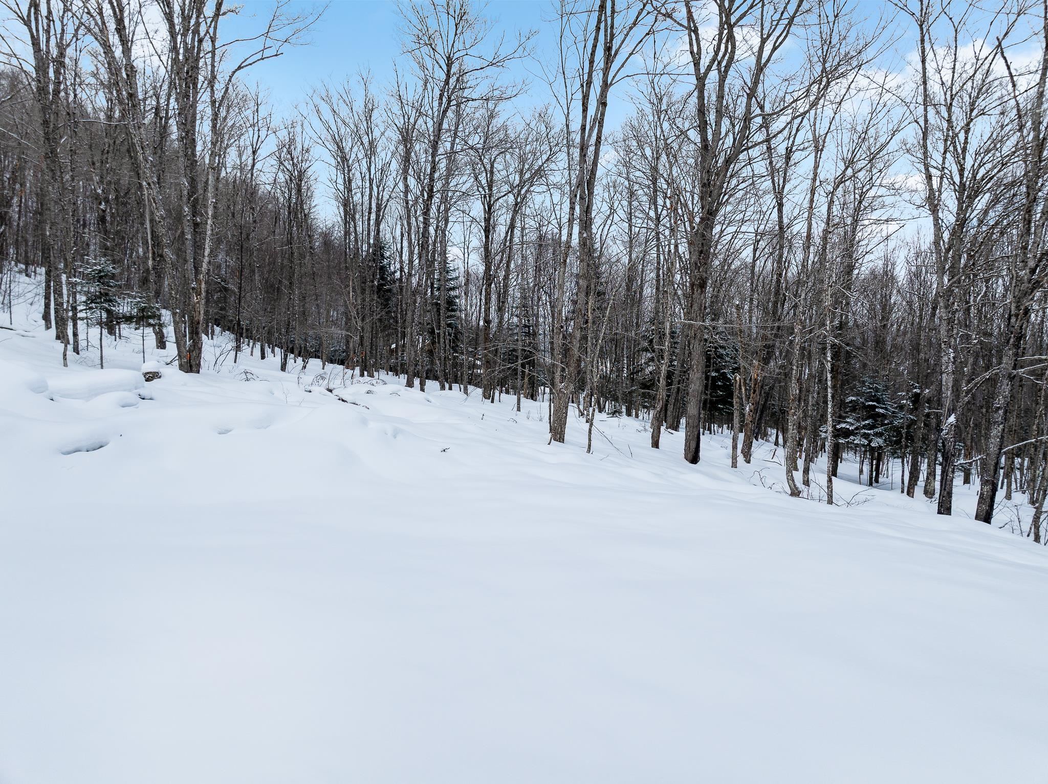 25 Spooner Road Pittsburg, NH 03592 - Photo 18 of 34