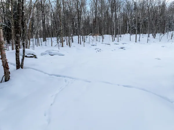 $231,500 | 25 Spooner Road, Pittsburg, NH 03592