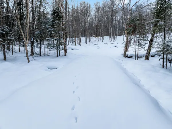$231,500 | 25 Spooner Road, Pittsburg, NH 03592