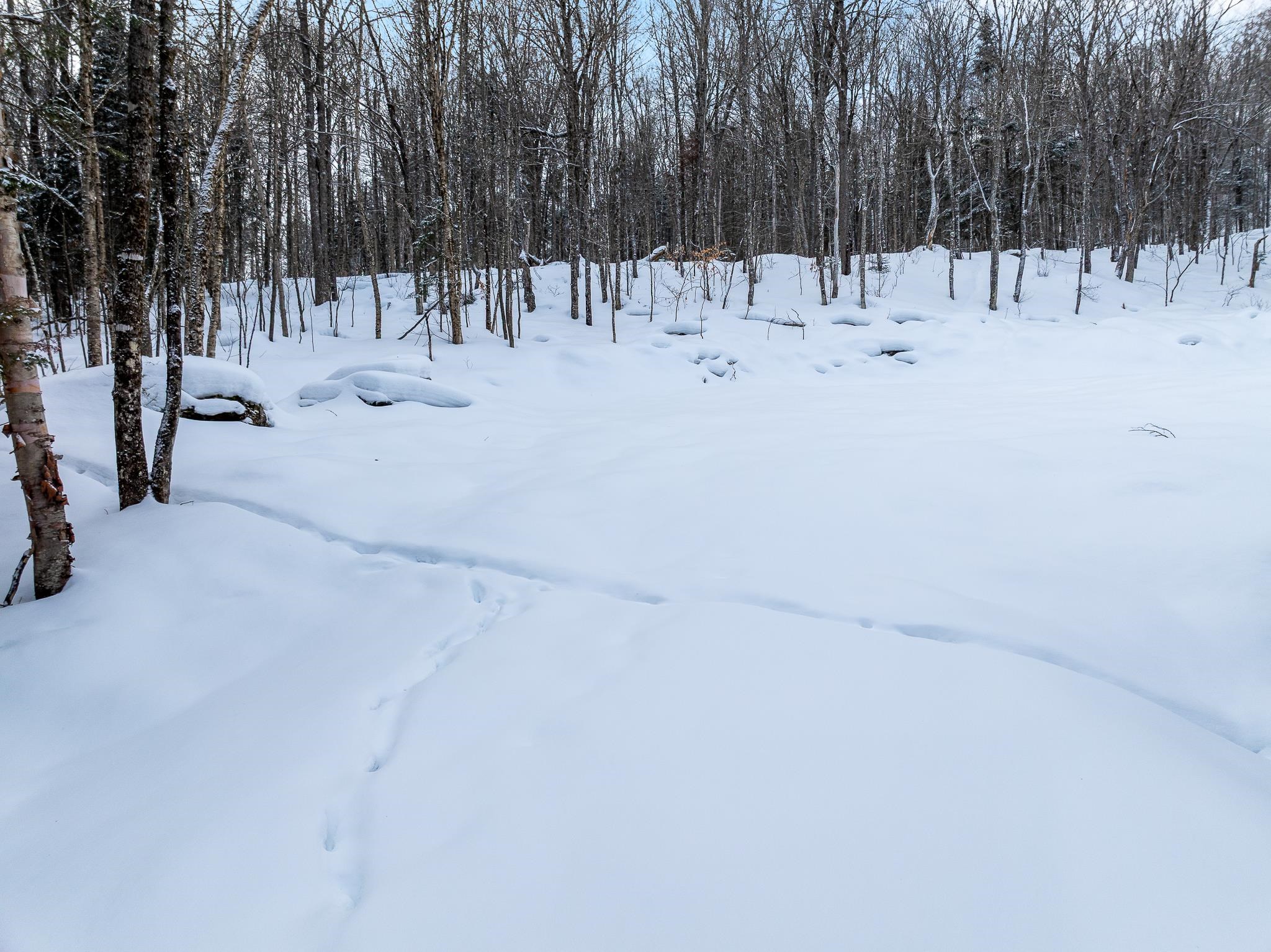 25 Spooner Road Pittsburg, NH 03592 - Photo 31 of 42