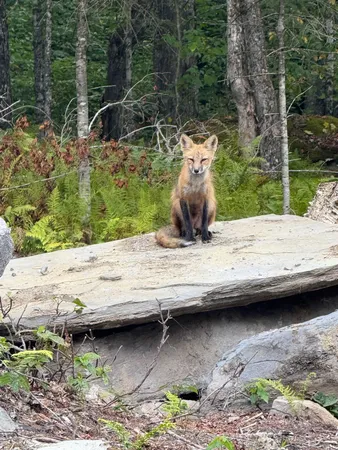 $231,500 | 25 Spooner Road, Pittsburg, NH 03592