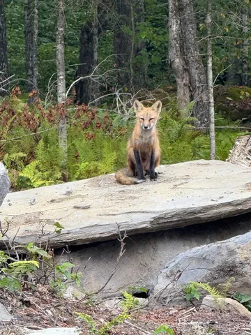 $231,500 | 25 Spooner Road, Pittsburg, NH 03592