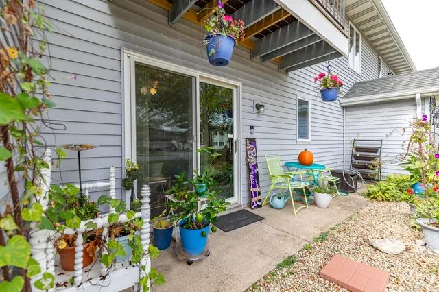a potted plant sitting in front of a house